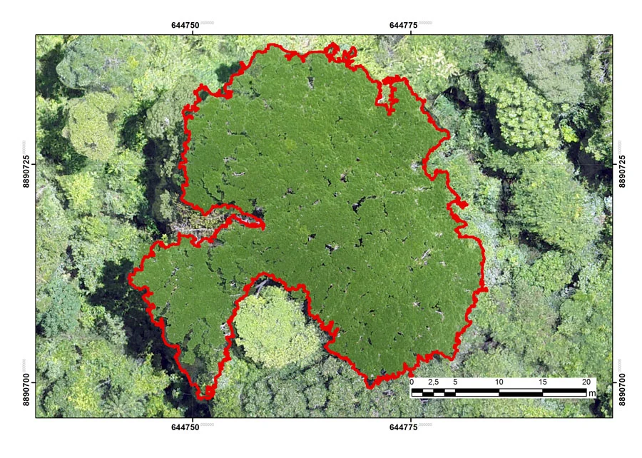 230131_ModeloDigitalModeflora_Evandro_Orfano_area-foliar