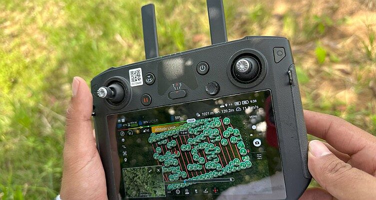 Metodologia-usa-Drones-e-IA-para-identificar-espécies-florestais-de-valor-comercial-752x400