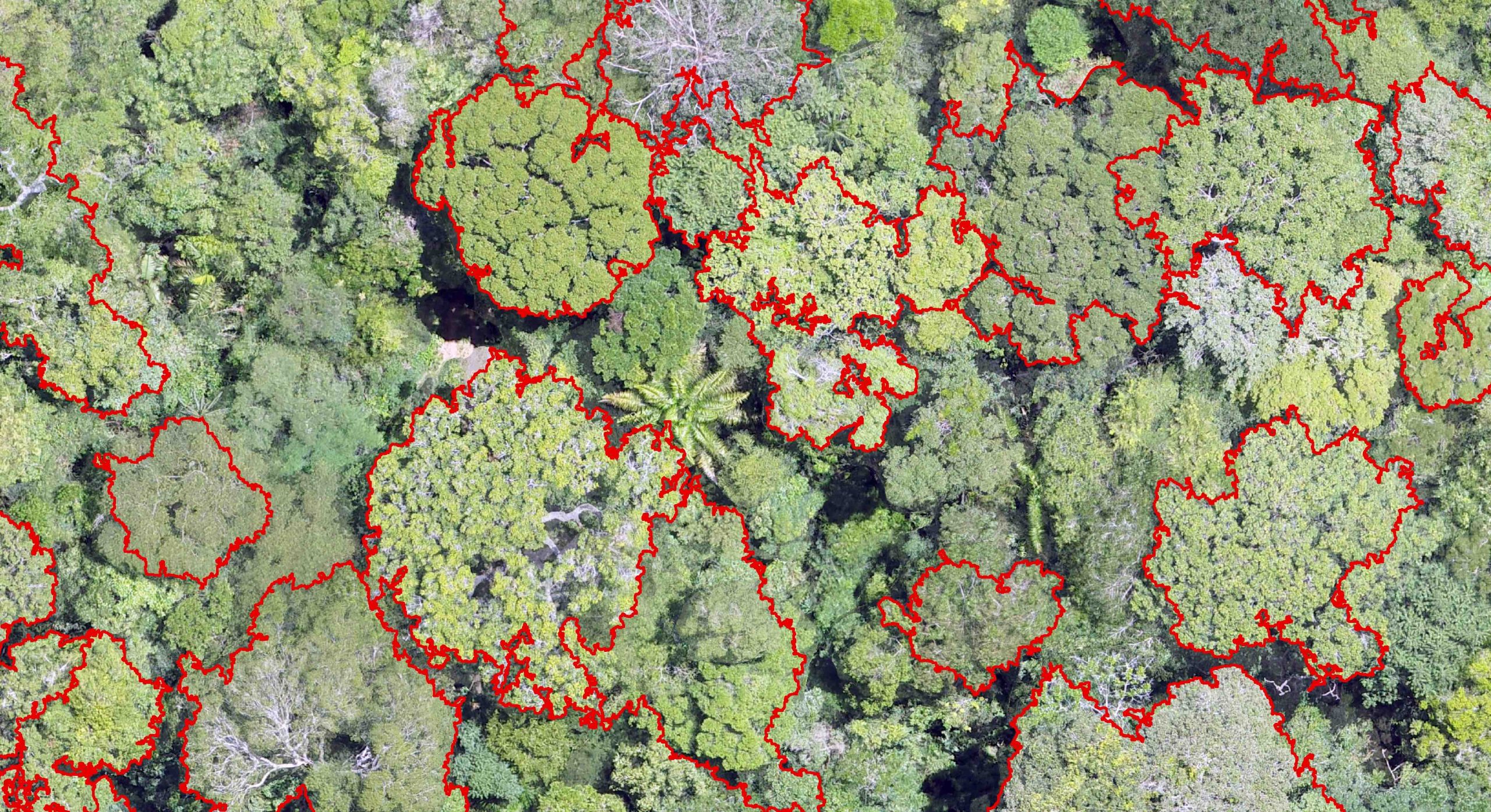 drone-amazonia-scaled